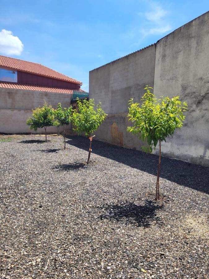 La Pedrosa Casa Rural Camarzana de Tera 外观 照片